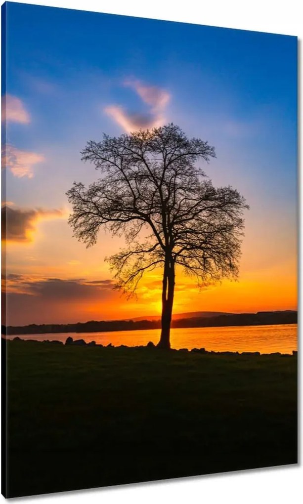Vászonkép 70x100 Fa naplemente