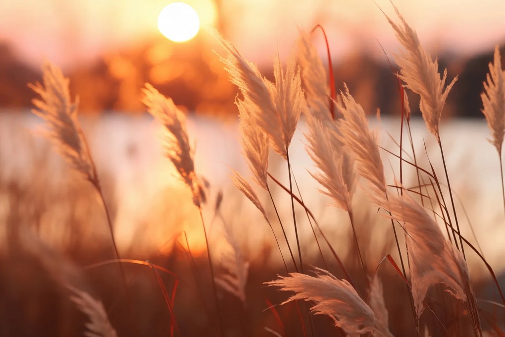 Poszter 45x30cm Arany Nyugat