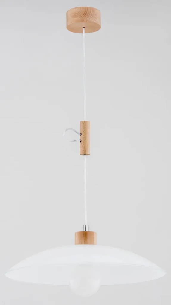 Alfa INKA UFO 60745 Függőlámpa 1x60W/E27