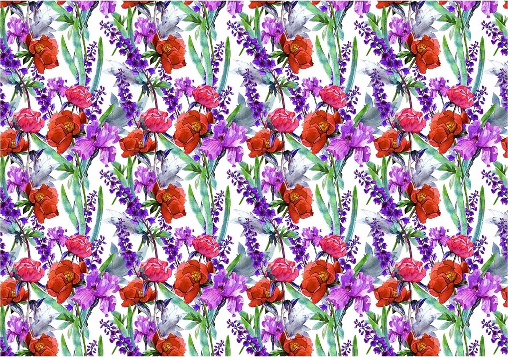 Flizelin fotótapéta Bazsarózsa írisz levendula fehér alapon 350x250 +ragasztó