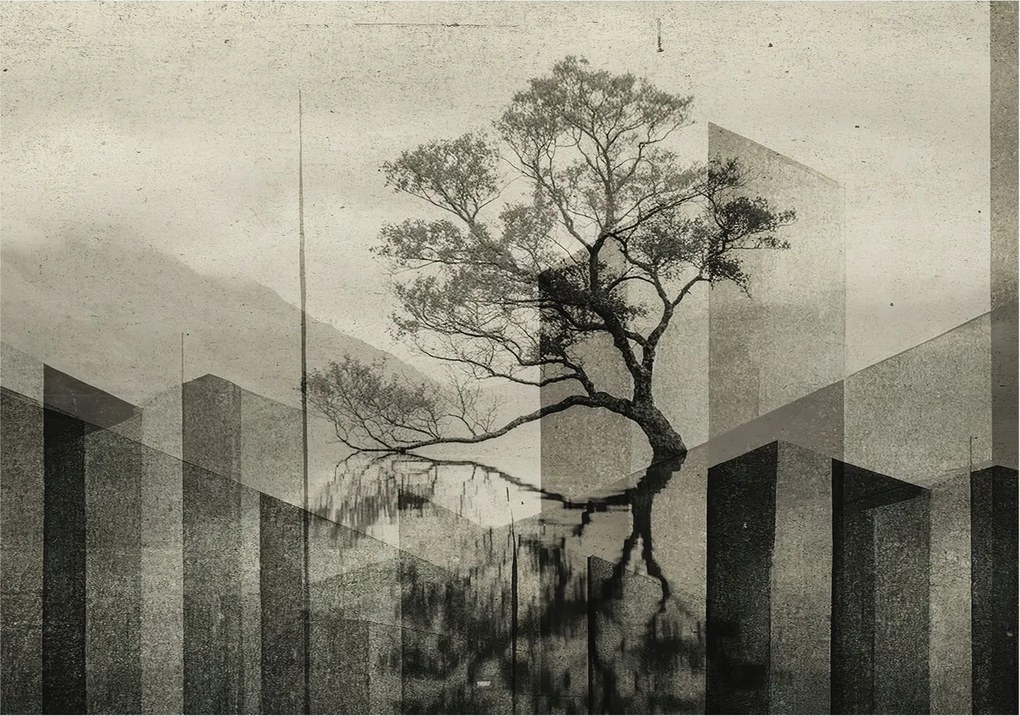 Fotótapéta Flizelin Design Divatos Nyers elegancia 312x219 Ragasztó