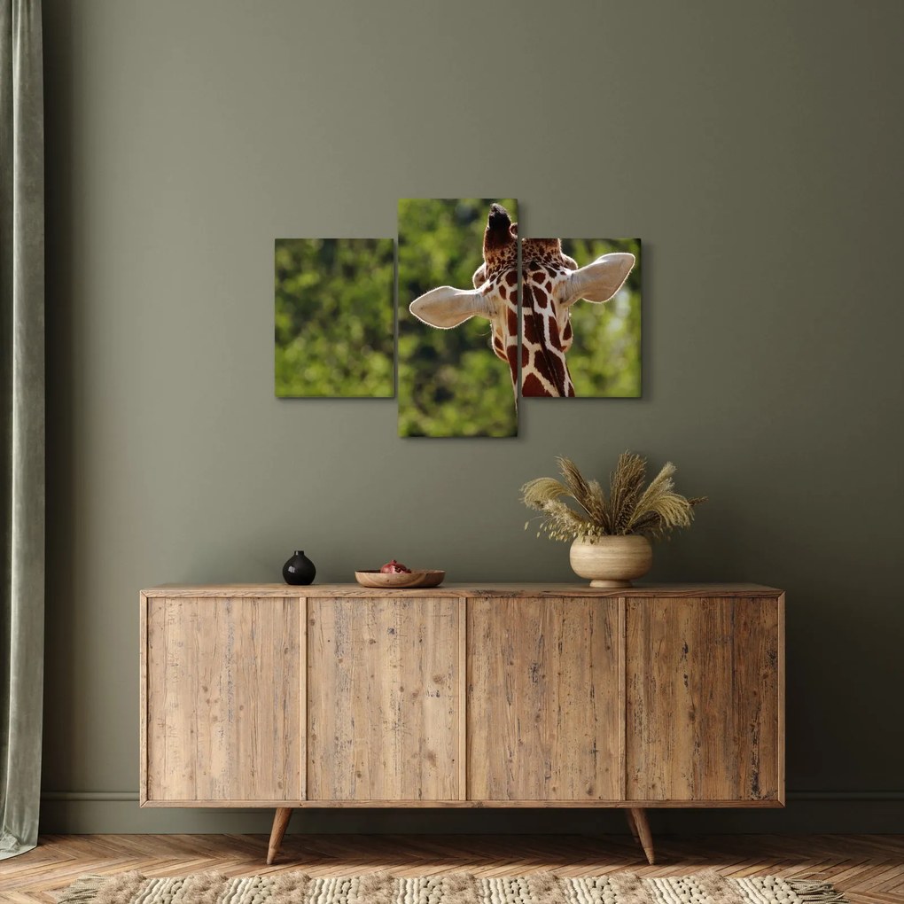 A zsiráf képe hátulról (90x60 cm)