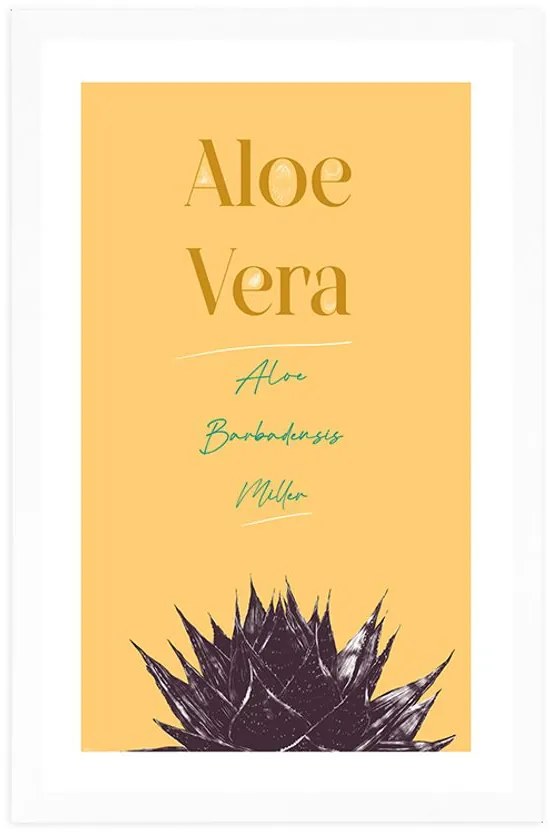 Poszter paszportuval  stílusos felirattal Aloe Vera