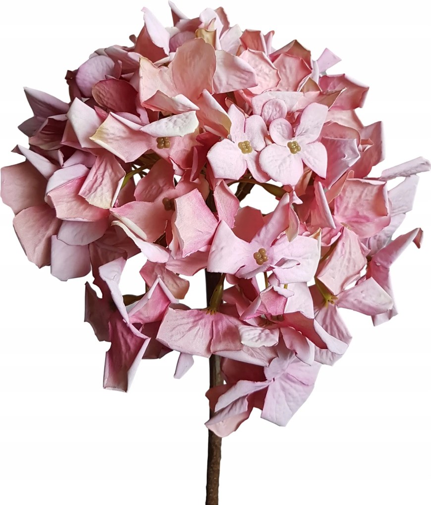 Hortenzia hortenzia ág rózsaszín művirág