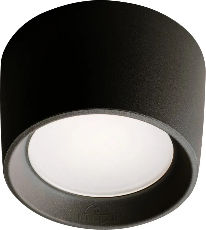 ELSTEAD FMG-LIVIA160-BLK LIVIA Modern Kültéri Mennyezeti Lámpa GX5.3 IP55