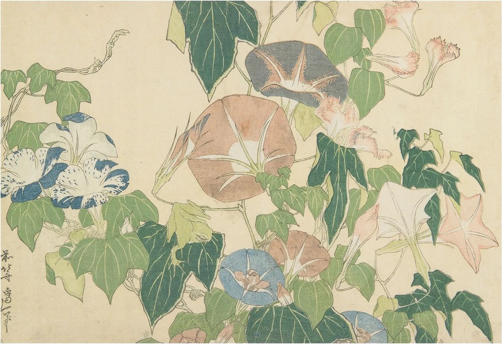 Modern fotótapéta Flizelina falra Virágos elegancia 152x104 Ragasztó