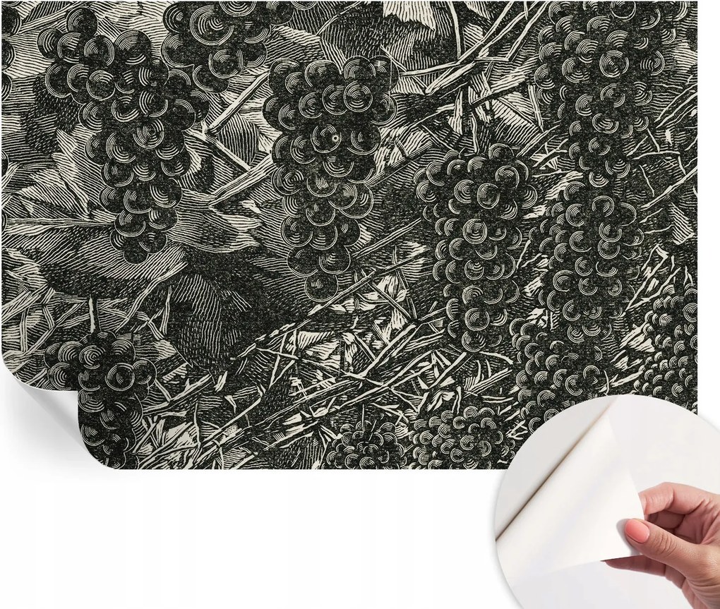 Fotótapéta Öntapadós Design Divatos Szőlő nyomtatás 104x70 cm