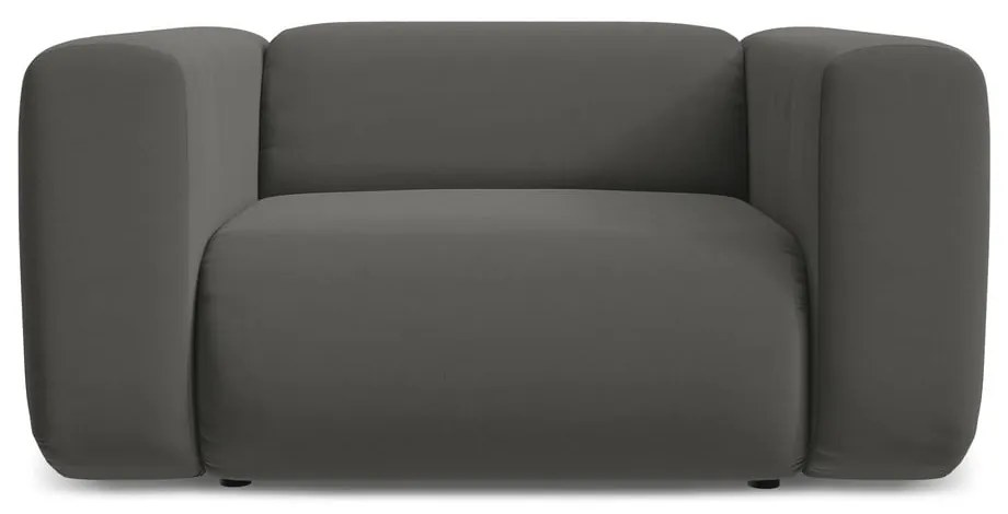 Szürke bársony fotel Ekahi – Makamii