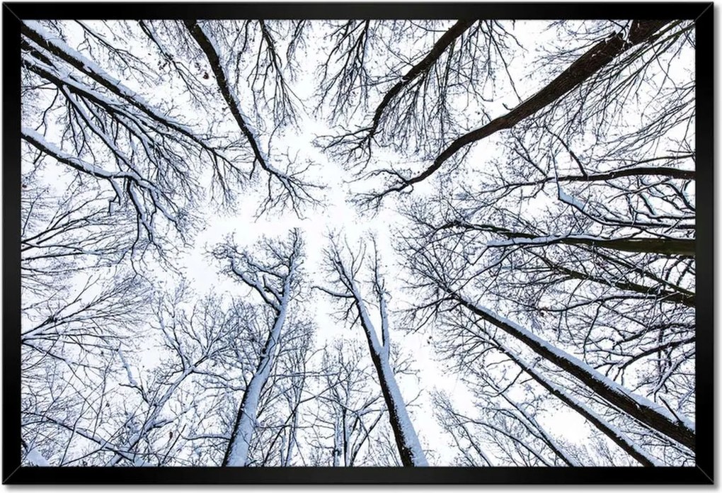 Poszterek keretben 60x40 Fa Kilátás