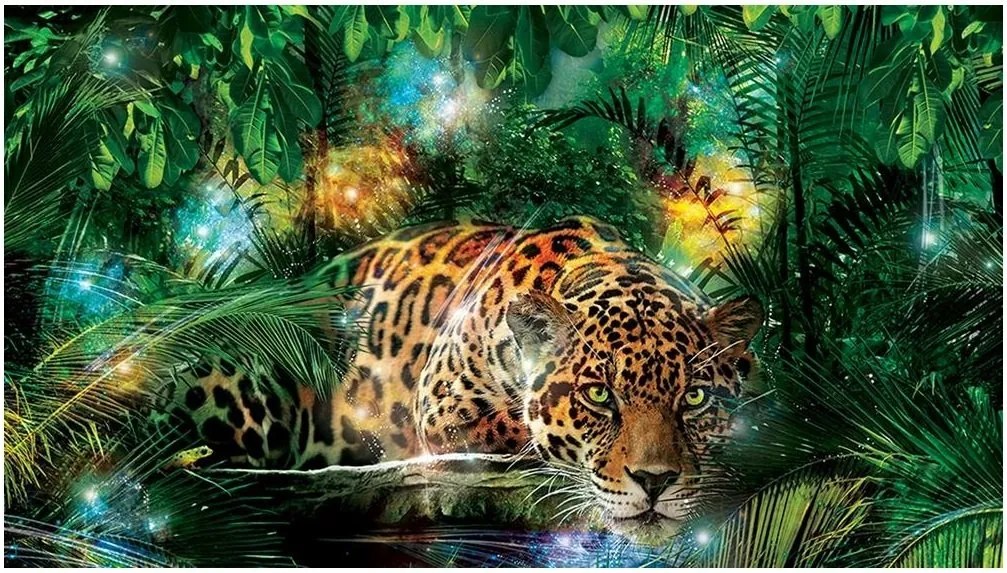 Fotótapéta állatok tigris macska fotótapéta 208 x 146