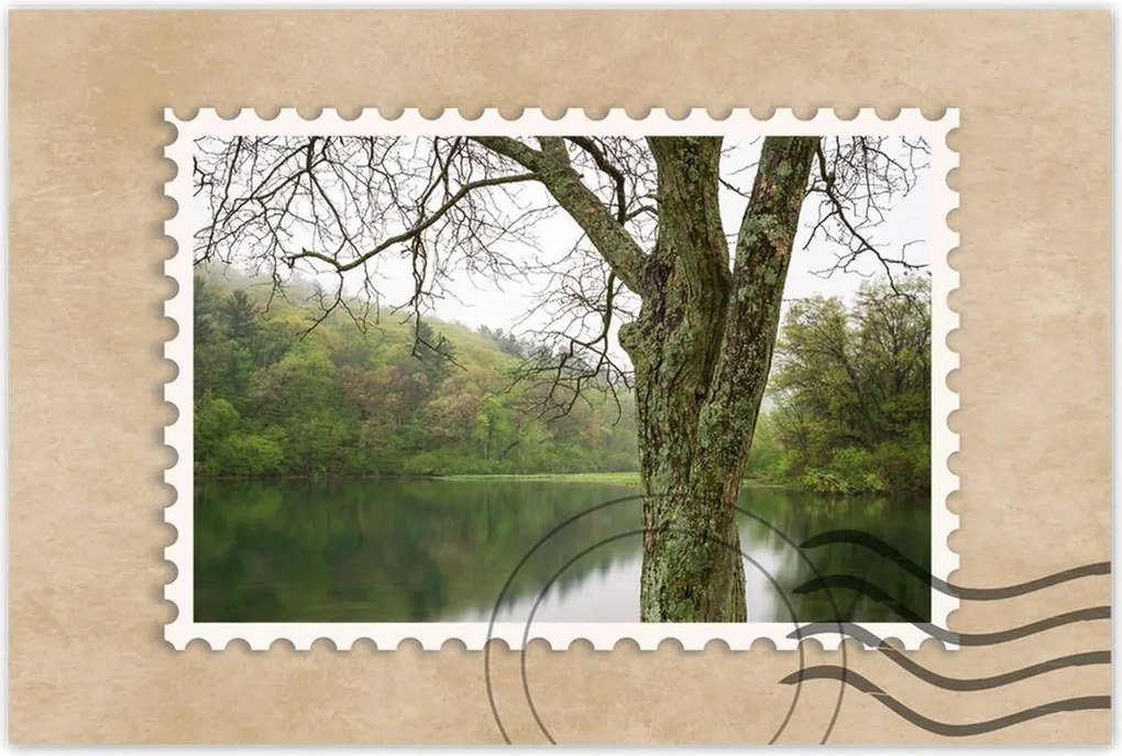 Poszterek 120x80 Fa Folyó Erdő