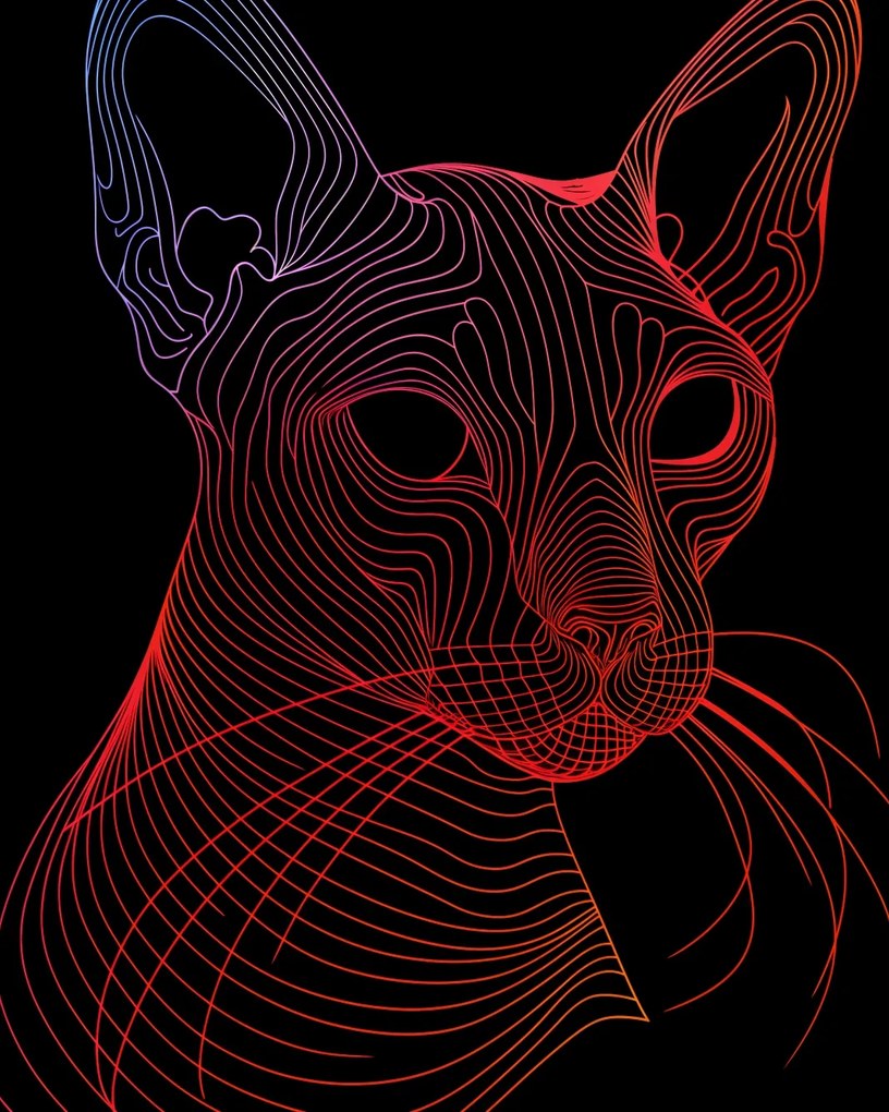 Poszter 40x50cm Digitális macska