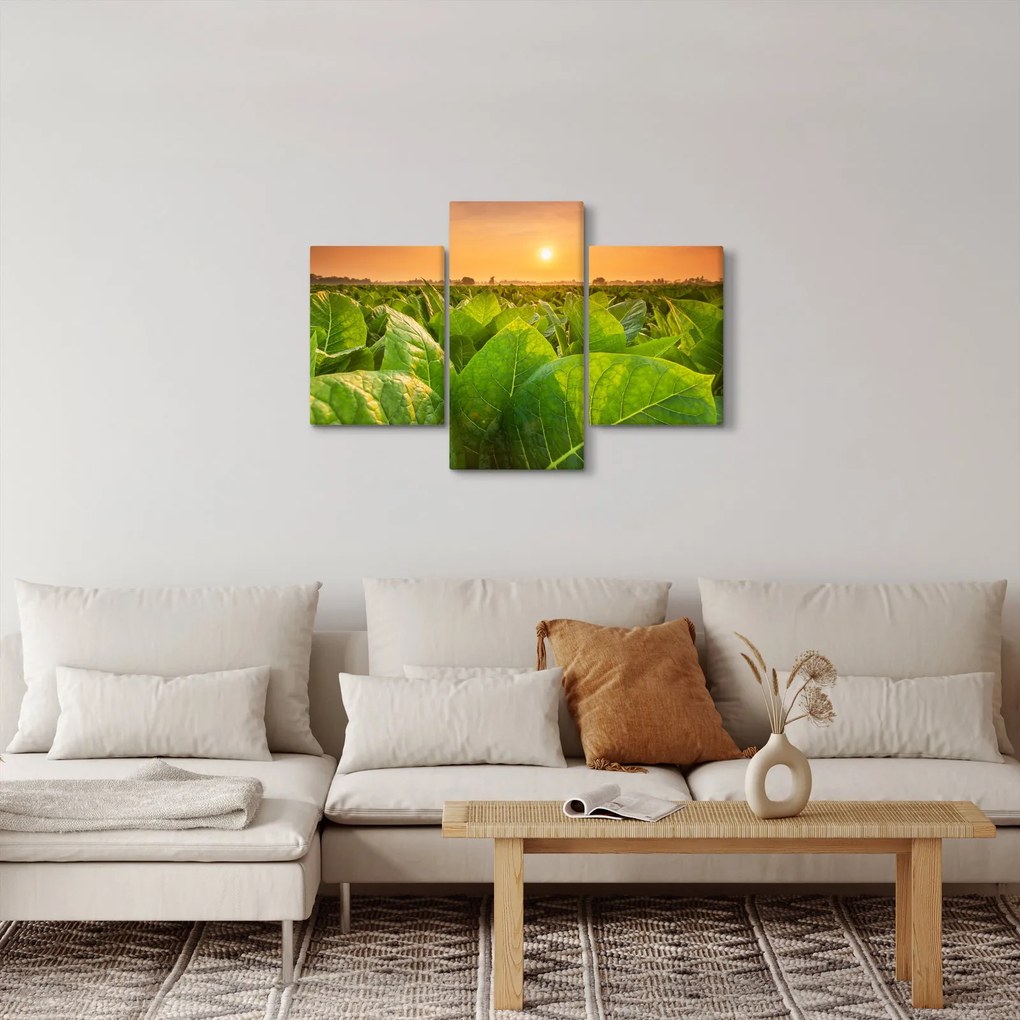 Kép - Mező (90x60 cm)