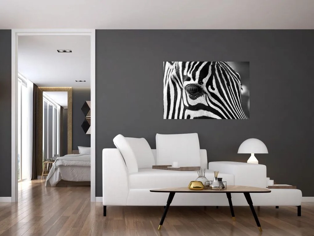 Zebra képe (90x60 cm)