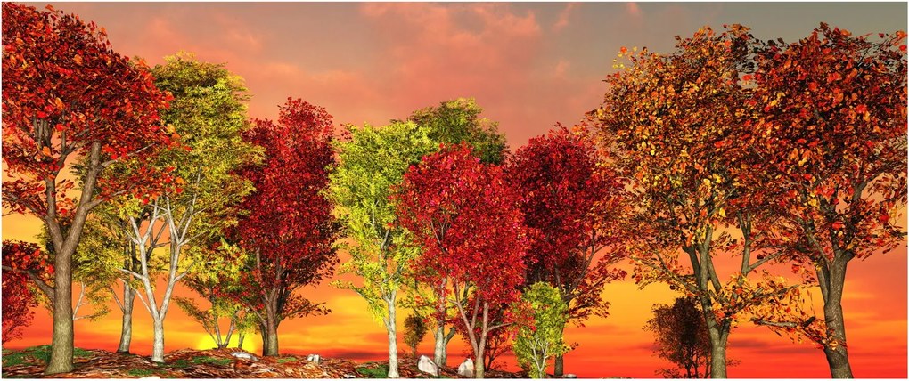 Kép - Színes fák (120x50 cm)