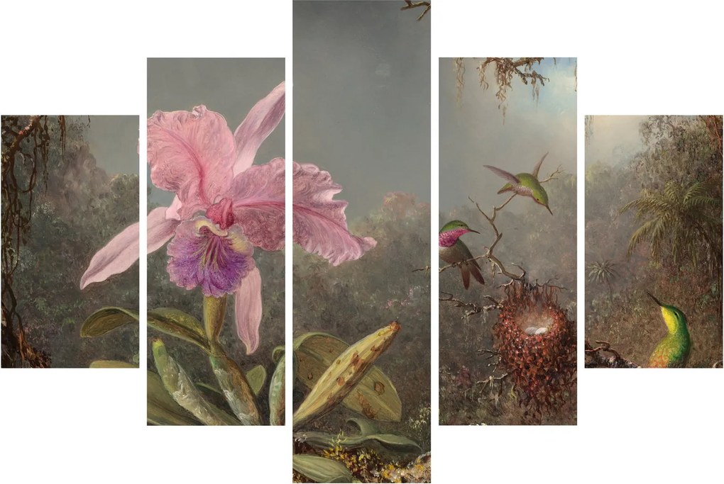 Kép - Martin Johnson Heade, Cattleya Orchid and Three Hummingbirds, reprodukciók (150x105 cm)