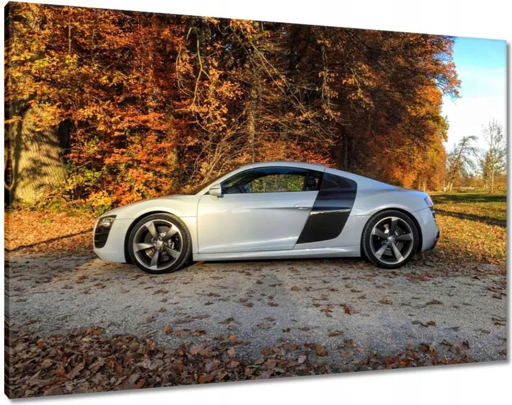 Vászonkép 100x70 Őszi Audi Autó