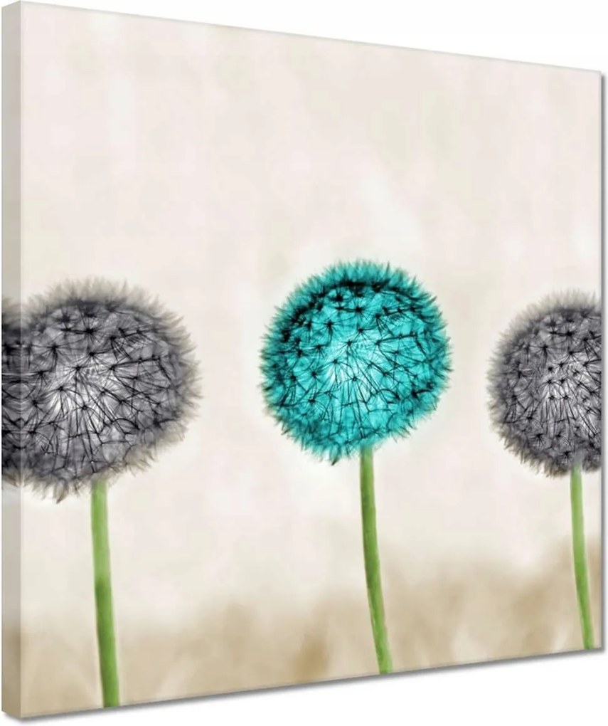 Vászonkép 30x30 Kék pitypang