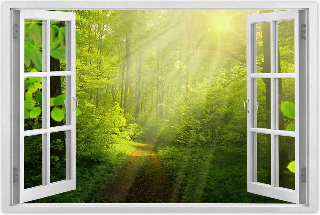 Poszterek 120x80 Varázslatos erdő Sugárzás