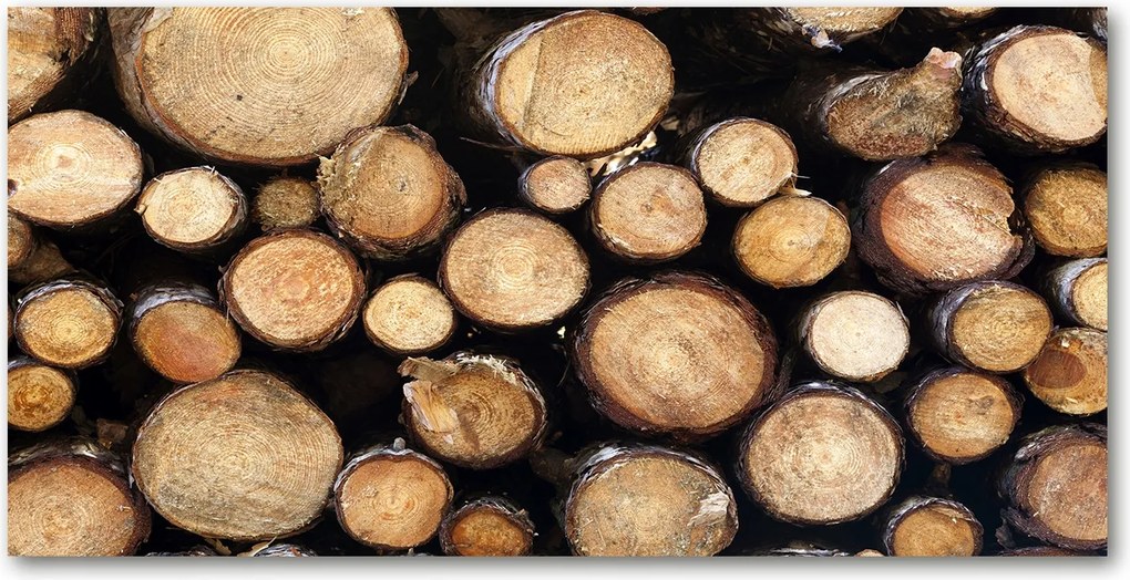 Fotó kép edzett üveg Fa rönkök 140x70