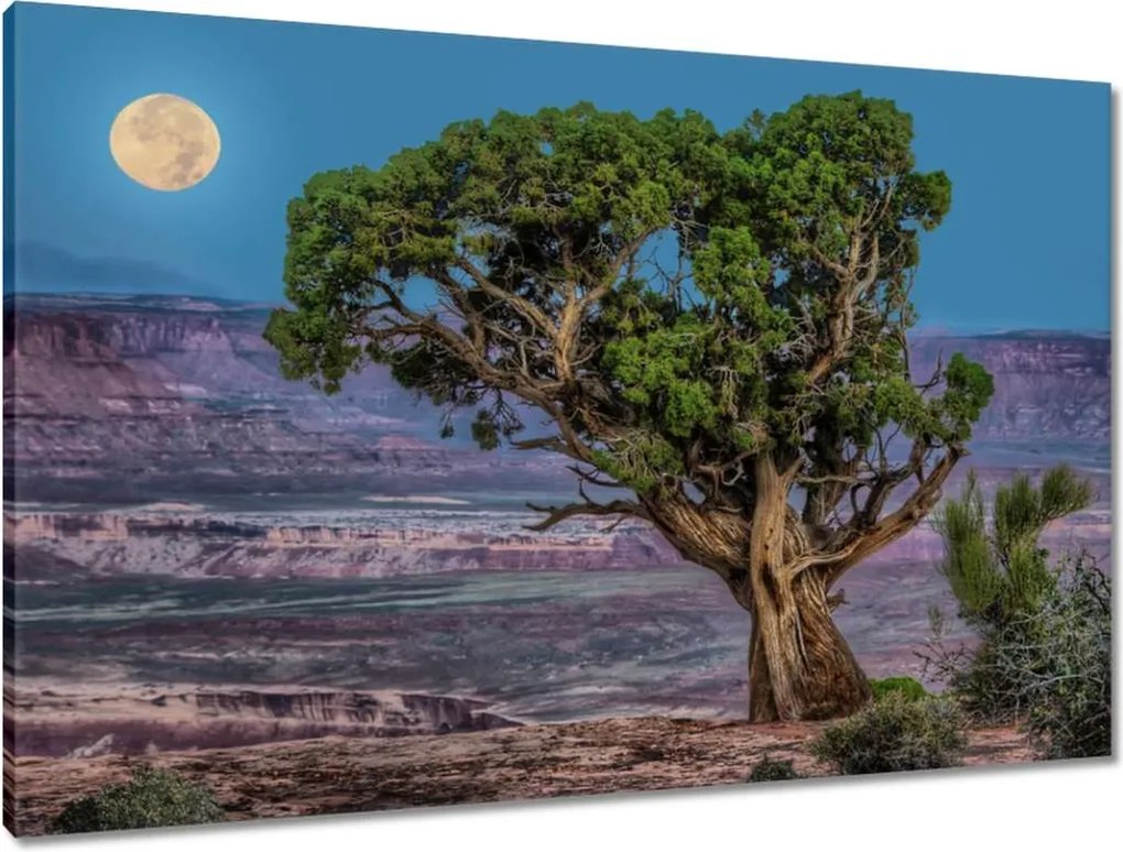 Vászonkép 90x60 Kilátás Tájkép