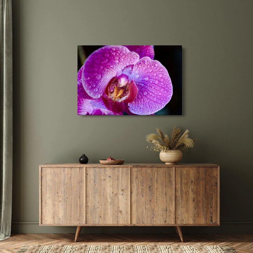 Részletes kép az orchidea virágról (90x60 cm)