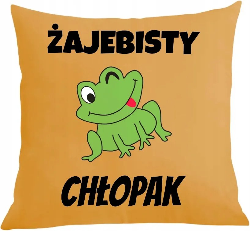 Párna párnahuzat Ajándék Békás Fiú