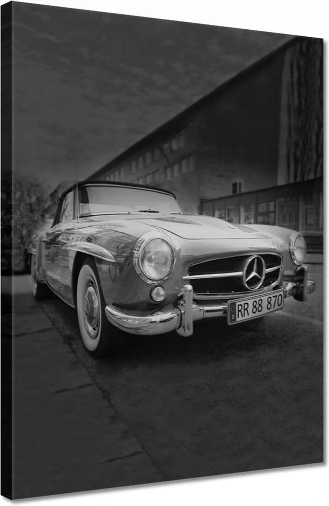 Vászonkép 30x40 Mercedes Szárnyas autó