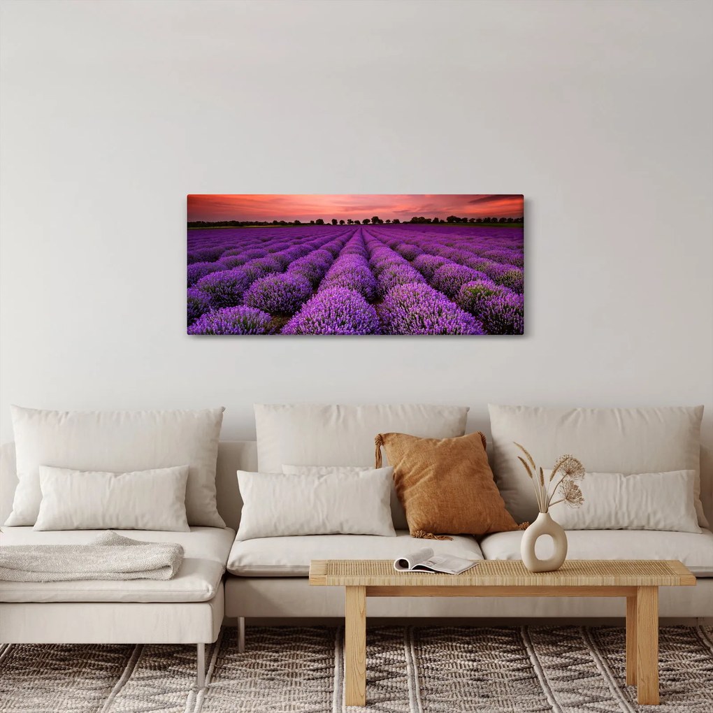 Kép - Levendula mező (120x50 cm)