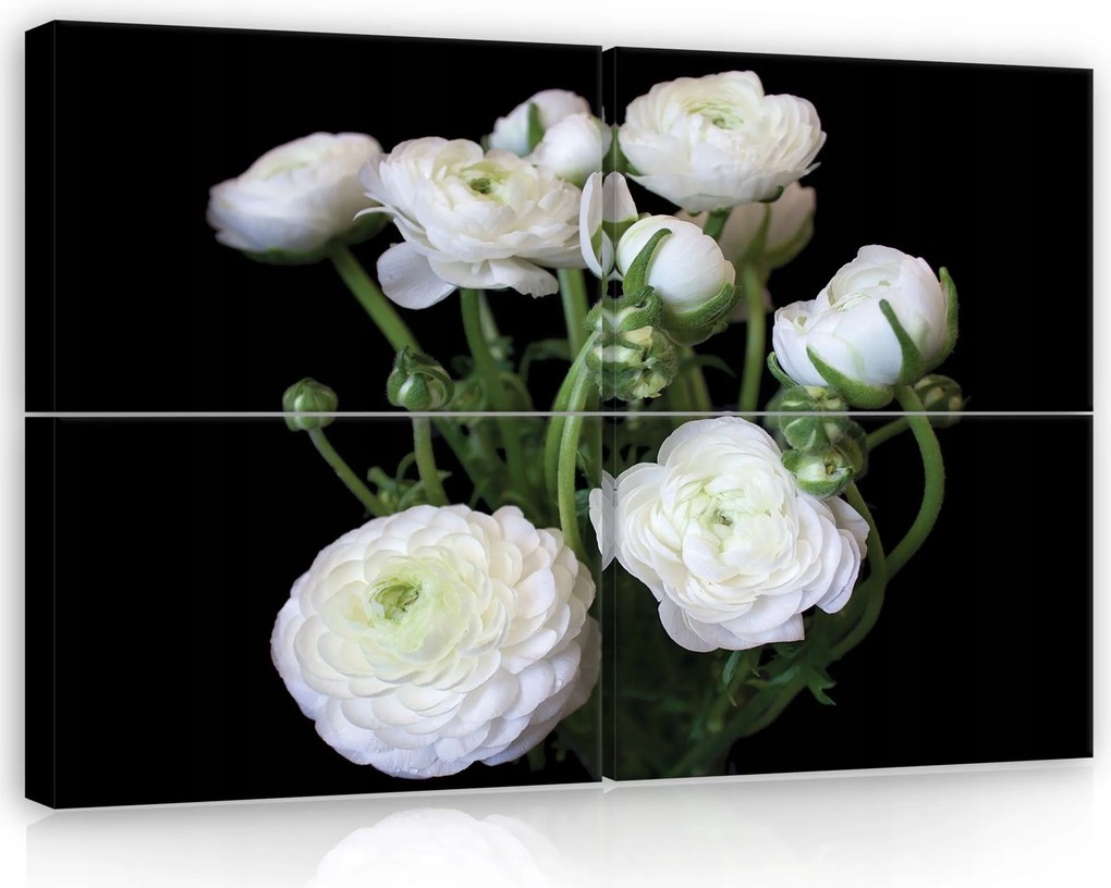 Vászonkép 120x80 Fehér virágok ranunculus virágos természet fali dekoráció