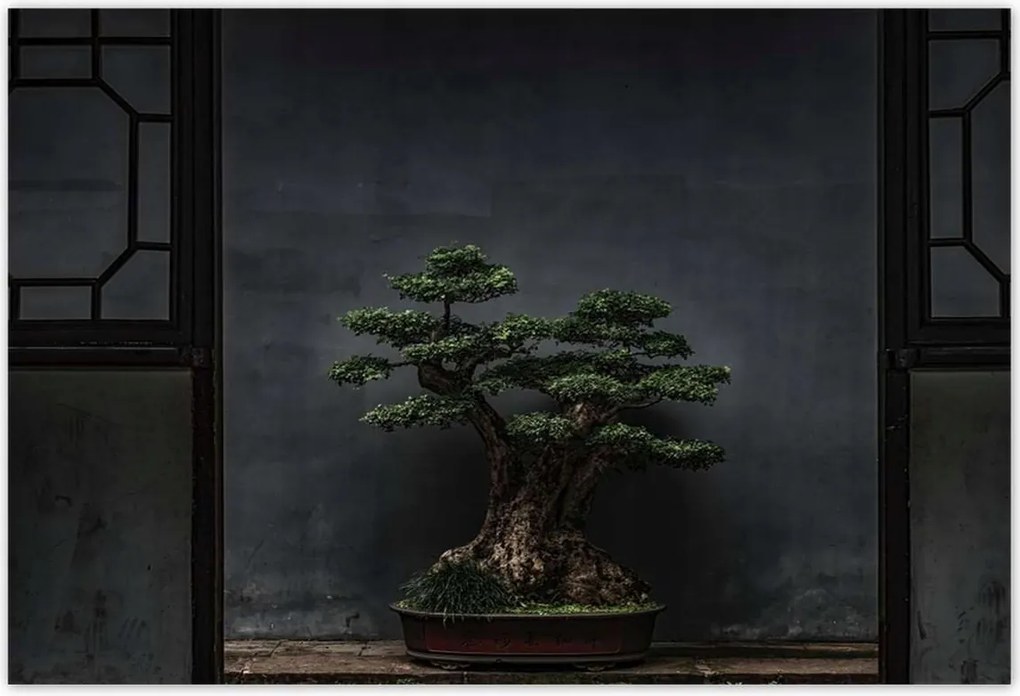 Poszterek 200x135 Bonsai Fa Kultúra
