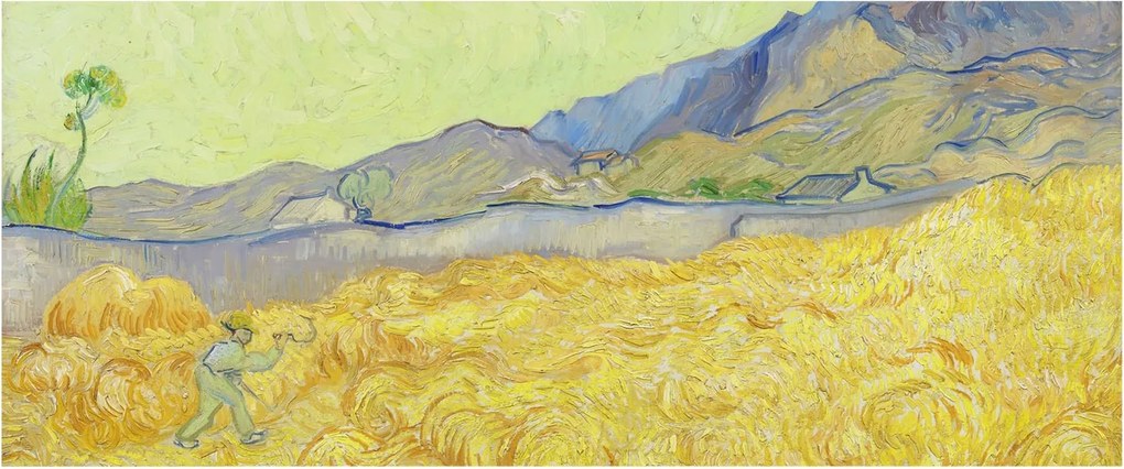 Fotótapéta Flizelina Nappali és Hálószoba Irodába Búzamező 250x104