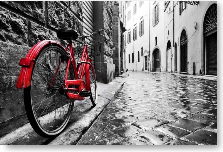 Kerékpár Fekete-fehér poszter B2 50x70cm kép #189