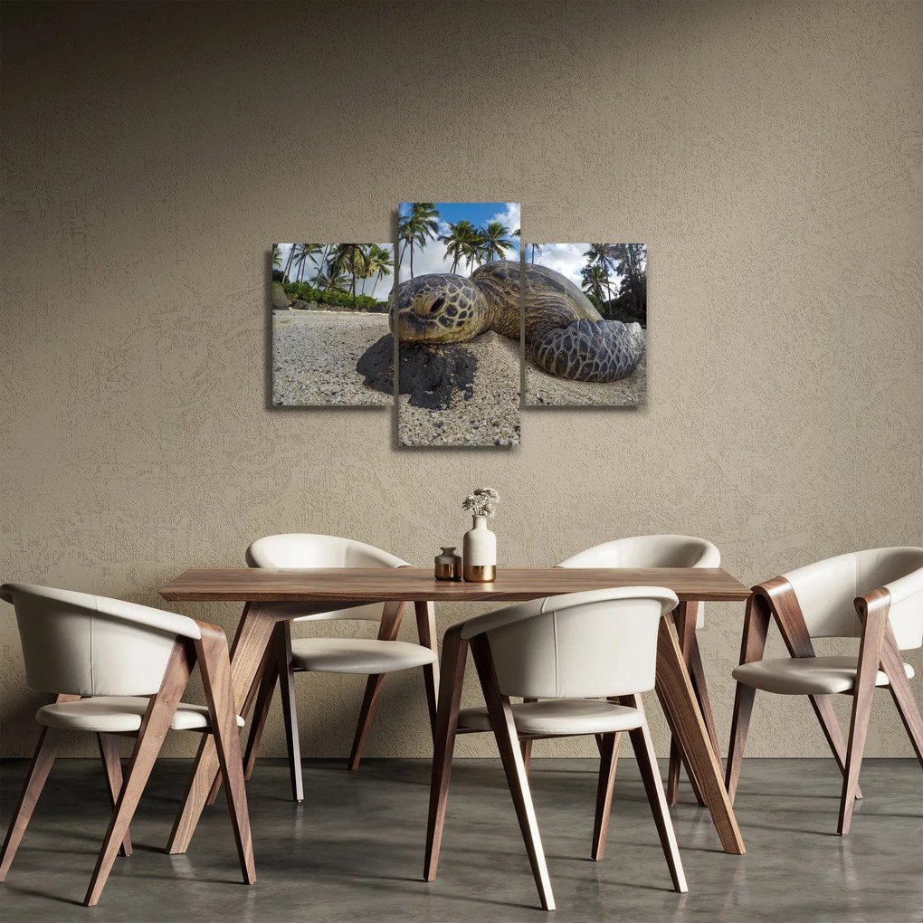 A teknős képe (90x60 cm)