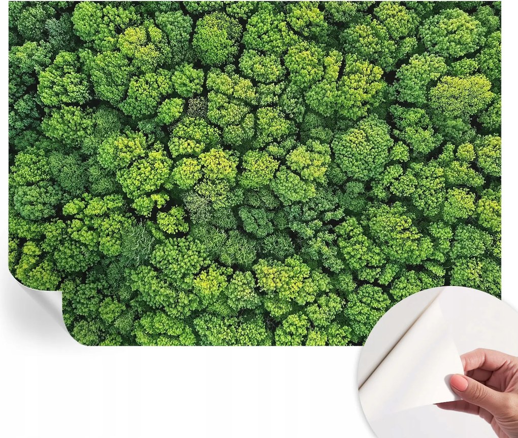 Öntapadós tapéta Divatos 3D fali ragasztóval Erdei panoráma 208x146 cm