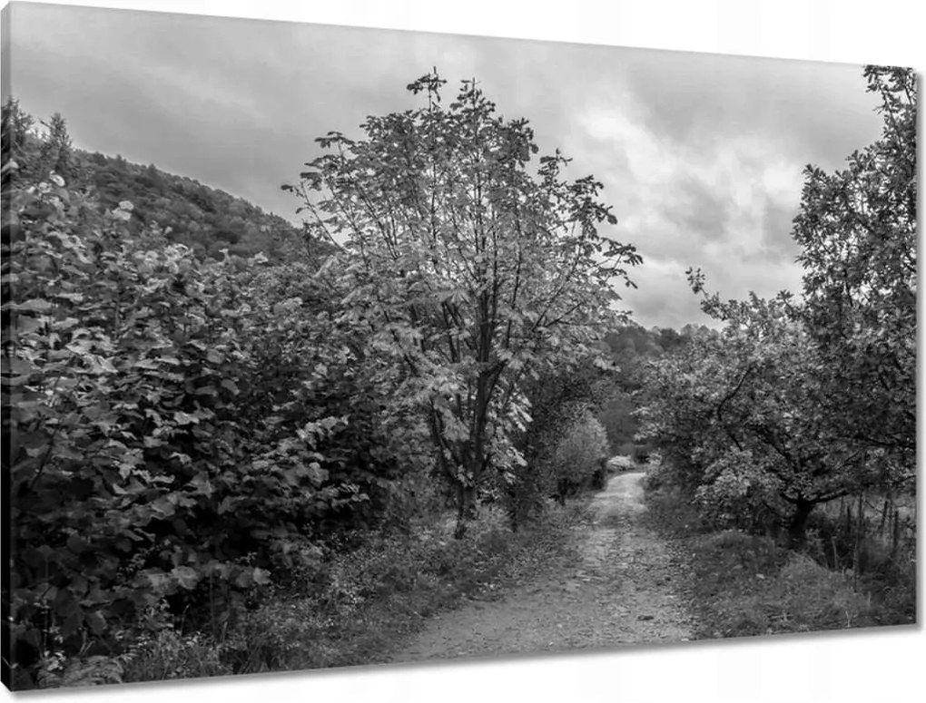 Vászonkép 90x60 Őszi tájkép