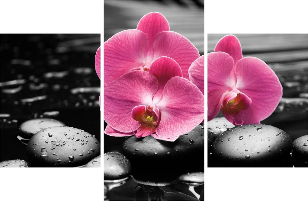 Kép - Rózsaszín orchideák (90x60 cm)