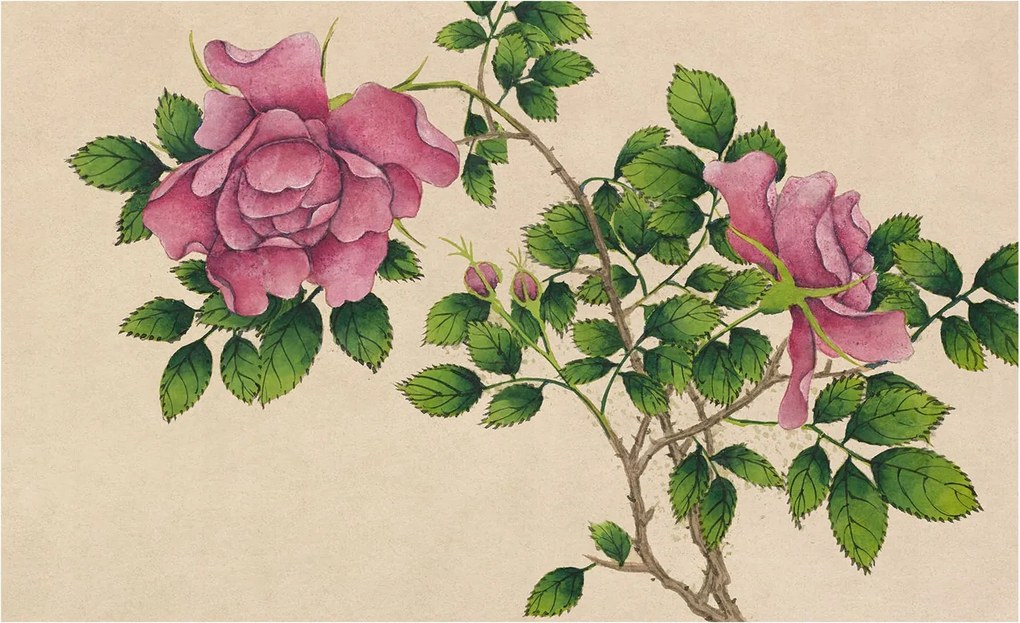 Divatos 3D Fali Tapéta Romantikus rózsák 416x254 Ragasztóval