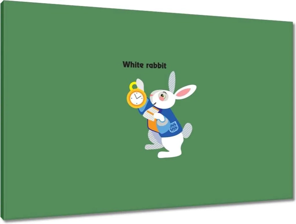 Vászonkép 90x60 Nyúl Csodaországban