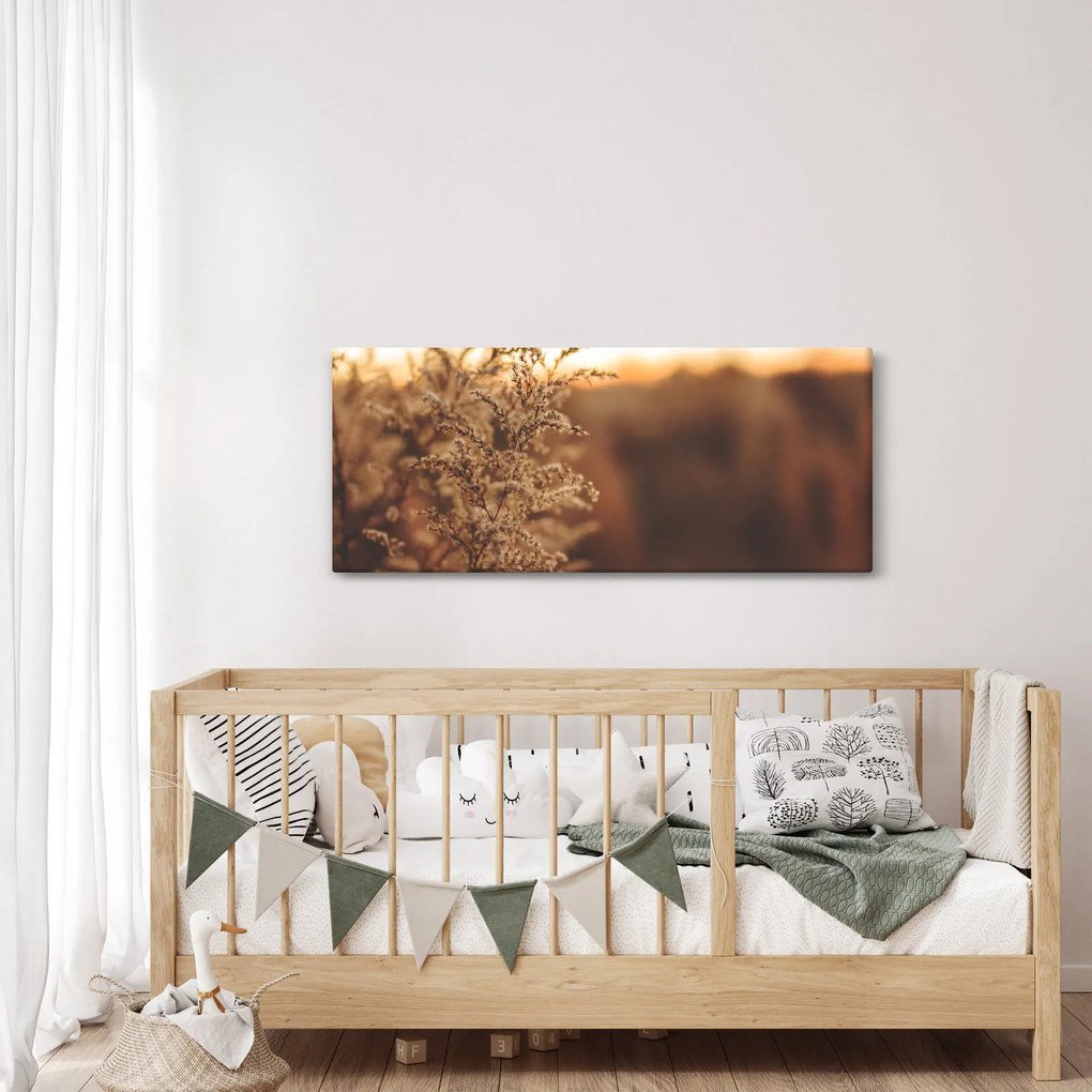 Virágzó fű képe (120x50 cm)