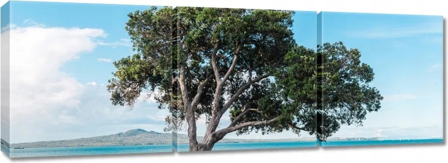 Vászonkép 150x50 Magányos fa