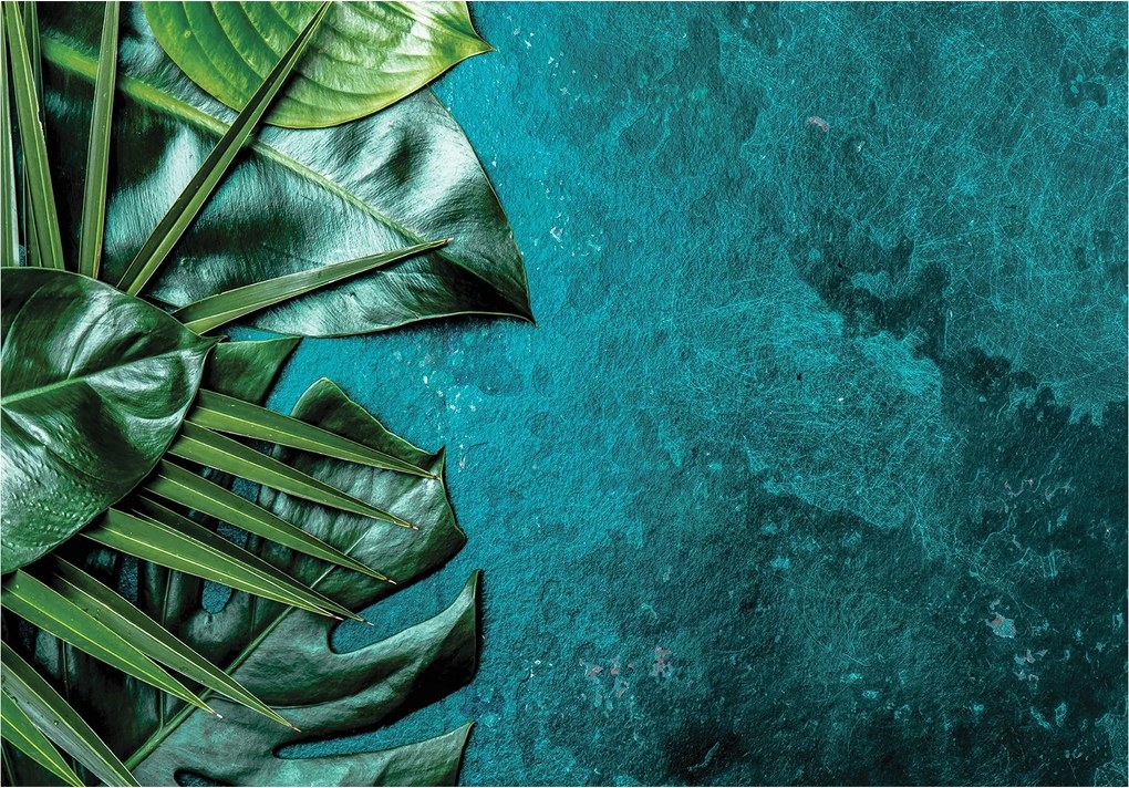 Fotótapéta Trópusi levelek türkiz háttérrel 416x254 Növények +ragasztó
