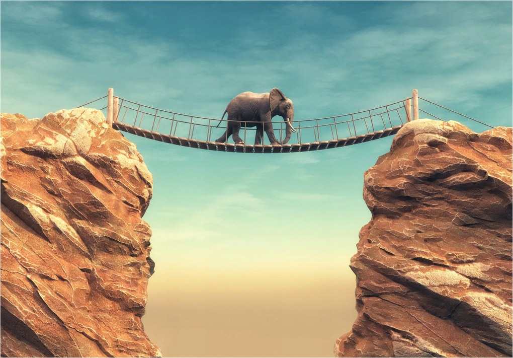 Fotótapéta Elefánt híd sziklák természet öko harmónia stílus otthon 200x140 +ragasztó