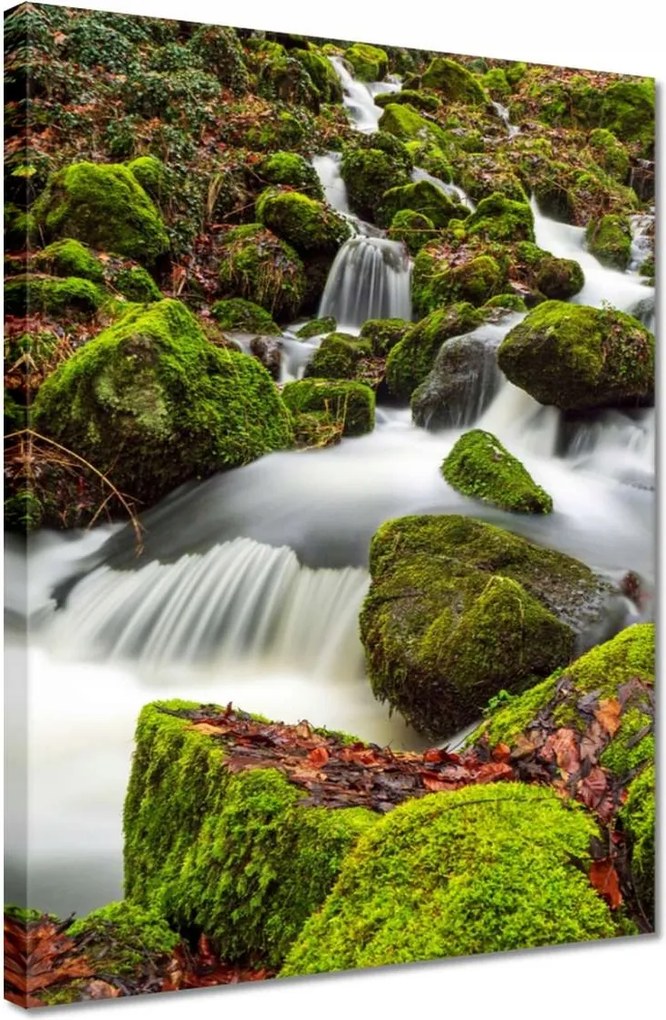 Vászonkép 30x40 Hegyi tájkép, árokpart