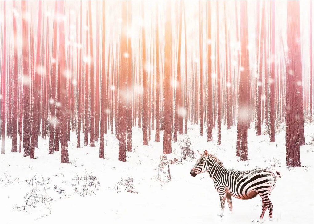 Kép - Zebra egy havas erdőben (70x50 cm)
