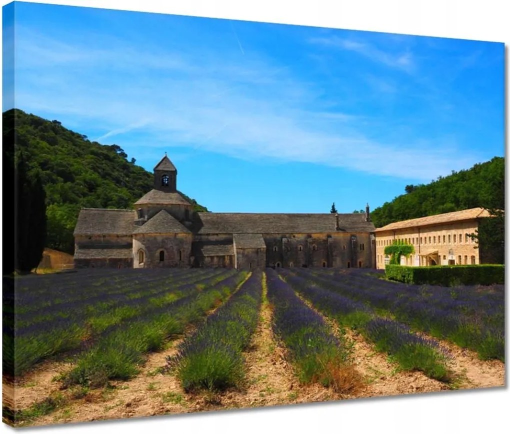 Vászonkép 40x30 Levendulamező