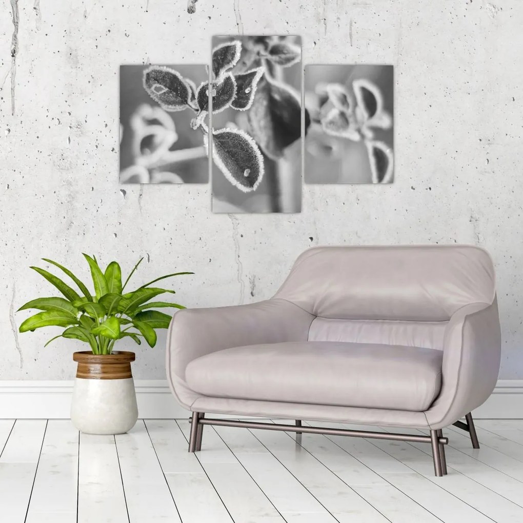 Kép - Őszi természet (90x60 cm)