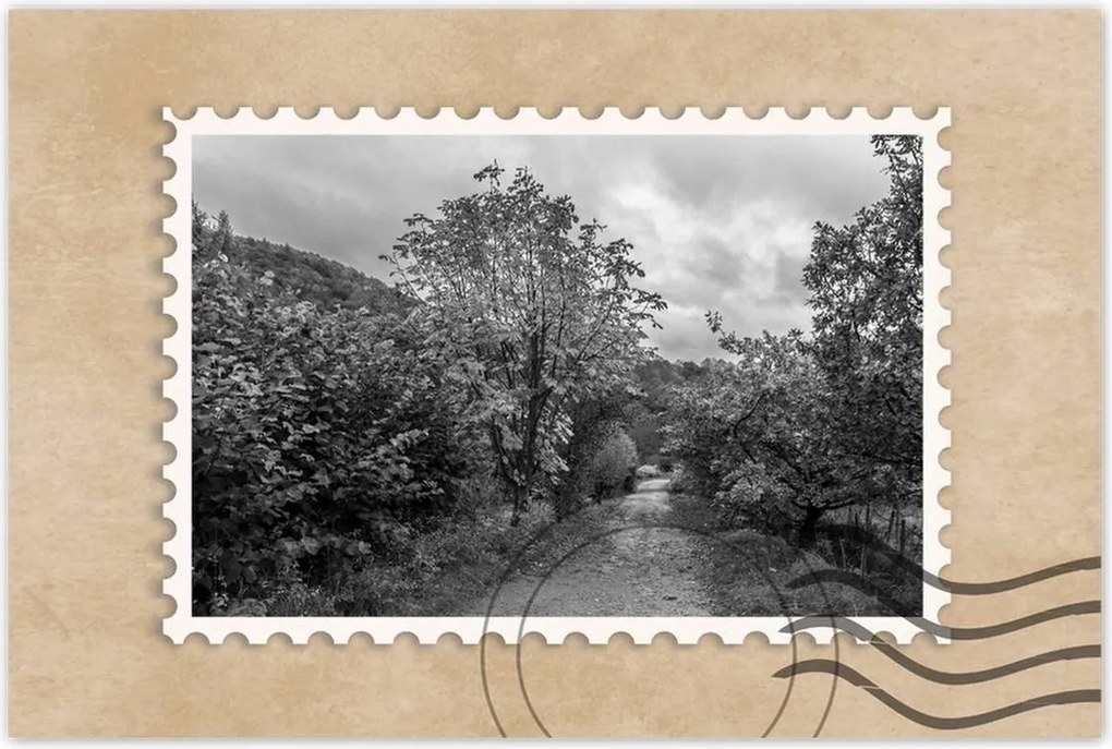 Poszterek 60x40 Őszi tájkép