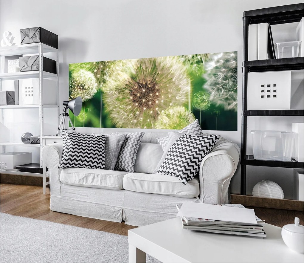 Fotótapéta Pitypang Finom Bolyhos Érintés Természet 250x104 +ragasztó