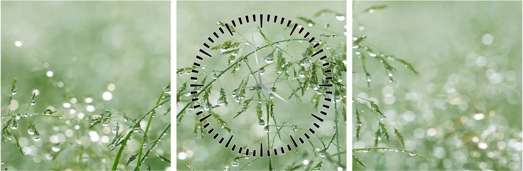 Kép - Reggeli harmat a fűszálakon (órával) (90x30 cm)